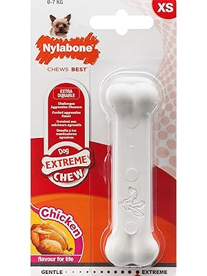 Nylabone-Puppy-Chew-Bone-and-Dental-Care-Toy-for-Teething-Puppies-Soothing-Chew-Bone-for-Small-Puppi-B01H5079I8