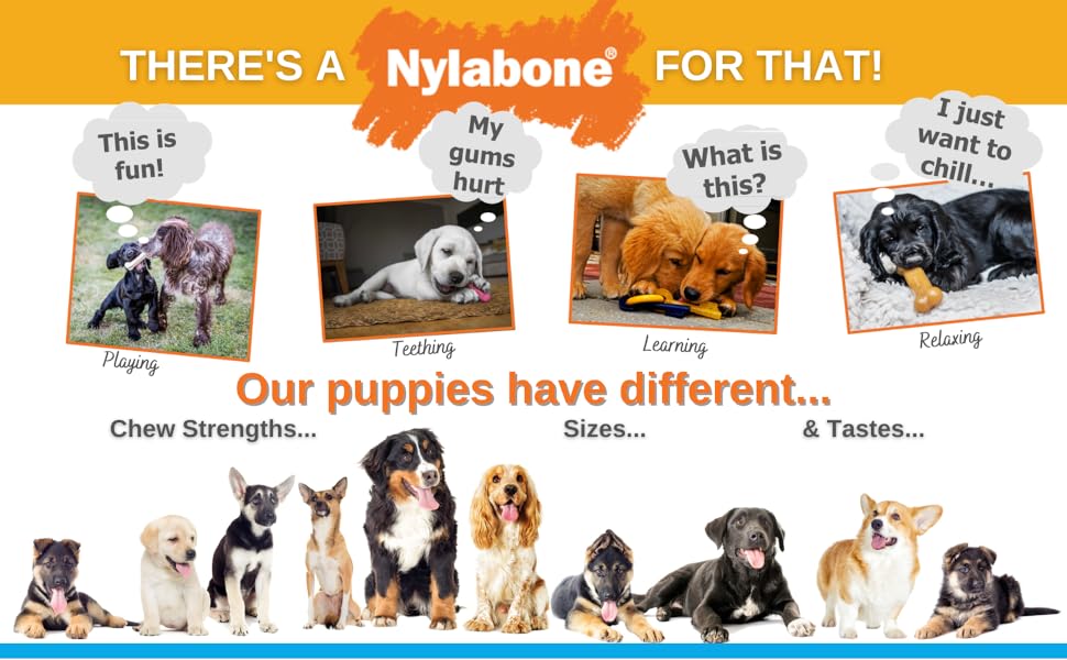 Nylabone-Puppy-Teething-Toy-Wishbone-Puppy-Blue-Original-Chicken-Flavour-X-SmallPetite-Pack-of-1-B0B5FDYM7Y