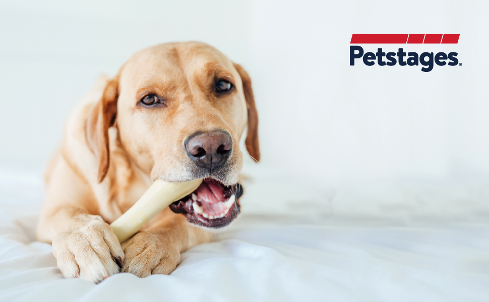Petstages-Chick-A-Bone---Hunde-Kauknoche---Kauspielzeug-mit-Hhnchengeschmack---Gre-S-B071FGB9KW