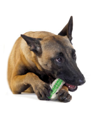 Petstages-Crunchcore-Bone---Knochen-Kauspielzeug-fr-Hunde---als-Alternative-zu-Wasserflaschen---L-B00DT2WJMI