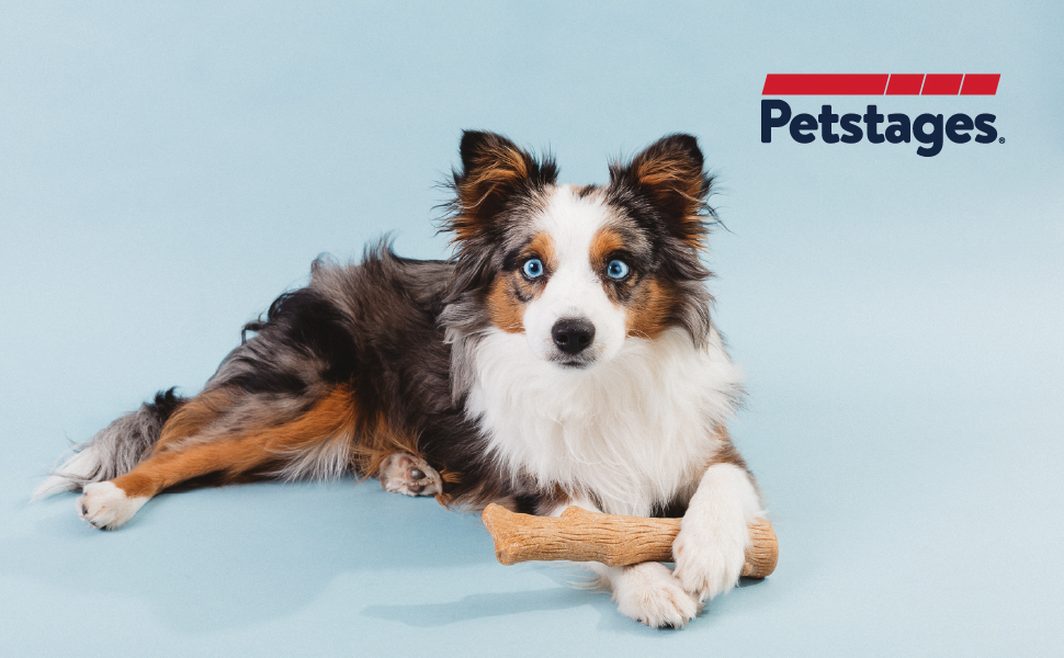 Petstages-Dogwood---Hunde-Kauspielzeug---als-Alternative-zu-Holzstckchen---Gre-S-B007R1BN6U