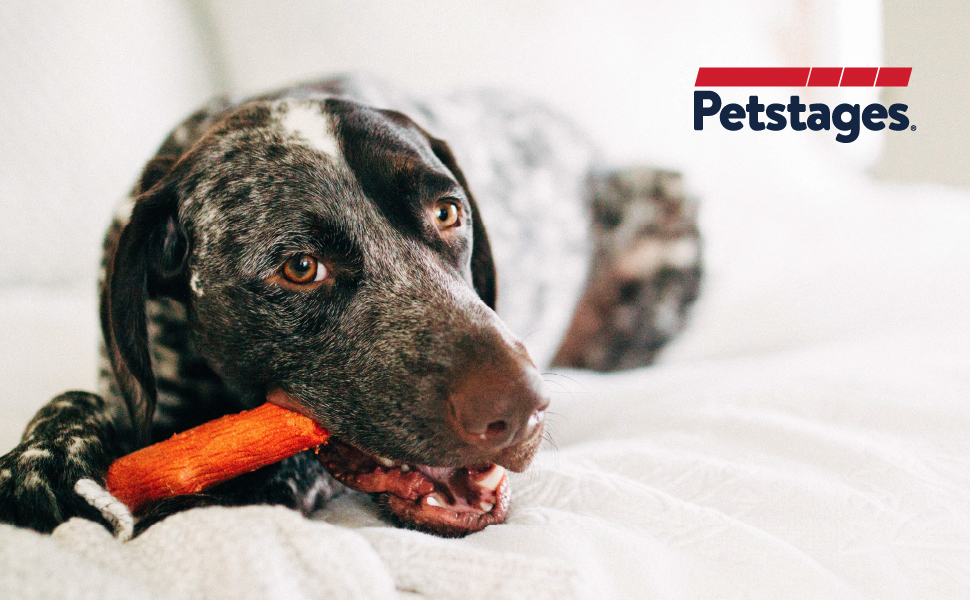 Petstages-Dogwood---Hunde-Kauspielzeug---als-Alternative-zu-Holzstckchen---mit-BBQ-Geschmack---Gre-X-B0719Q84LV