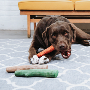 Petstages-Dogwood---Hunde-Kauspielzeug---als-Alternative-zu-Holzstckchen---mit-BBQ-Geschmack---Gre-X-B0719Q84LV