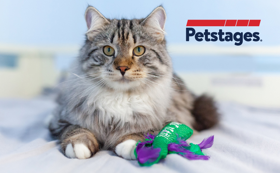 Petstages-Krazy-Kale-Cat-Toy-with-Catnip-for-Chewing-and-Dental-Care-B07P8WV29G