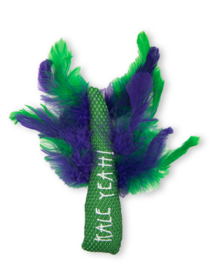 Petstages-Krazy-Kale-Cat-Toy-with-Catnip-for-Chewing-and-Dental-Care-B07P8WV29G