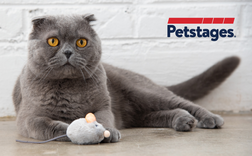 Petstages-Squeak-Squeak-Mouse---Plschspielzeug-fr-Katzen---mit-Katzenminze---Maus-B092LQTT62