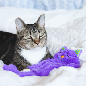Petstages-Squeak-Squeak-Mouse---Plschspielzeug-fr-Katzen---mit-Katzenminze---Maus-B092LQTT62