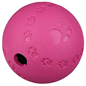 Trixie-Dog-Snack-Ball-B00121XPS0