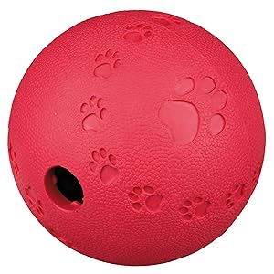 Trixie-Dog-Snack-Ball-B00121XPS0